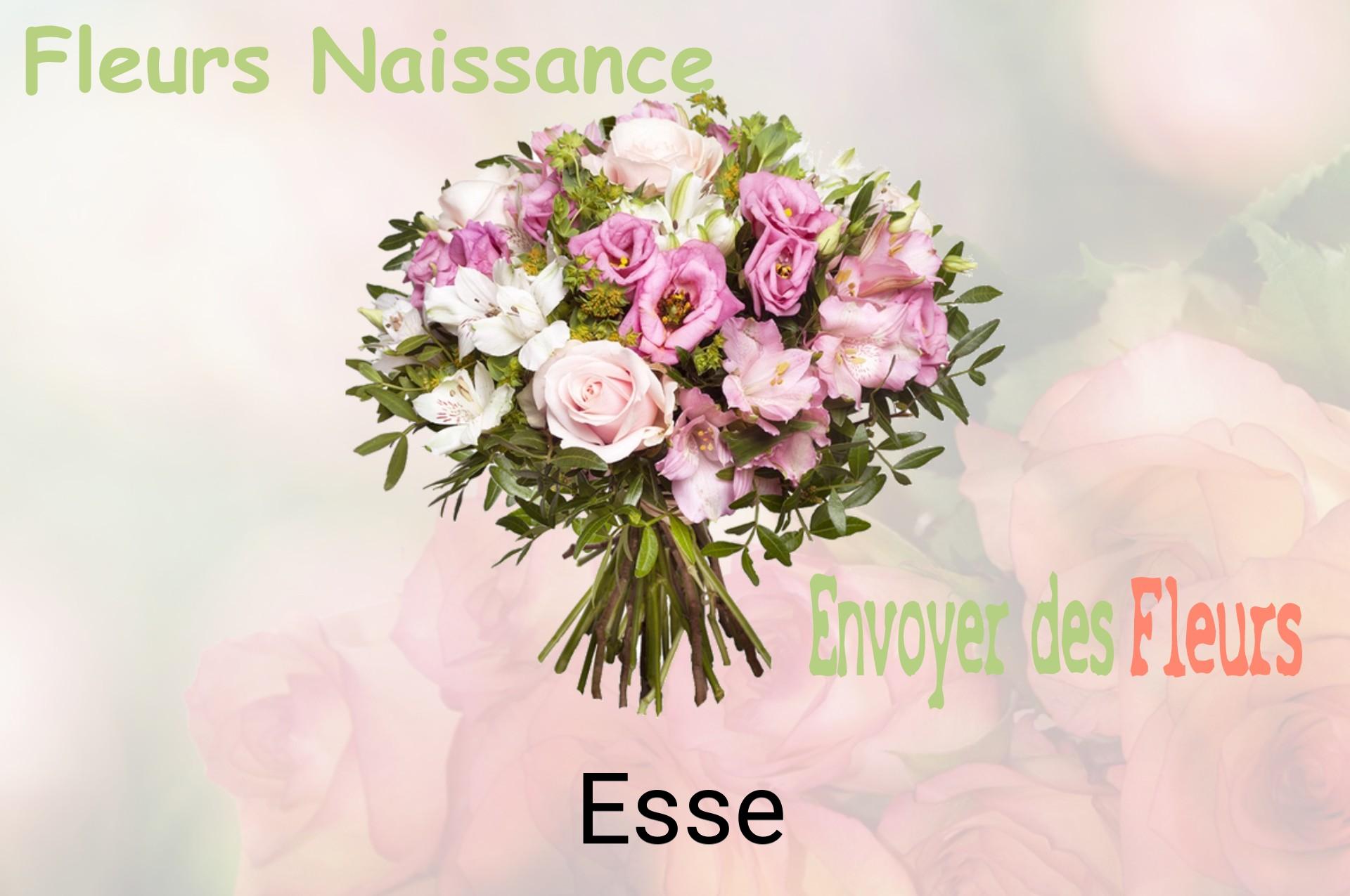 Bouquet de fleurs de naissance livré à Esse